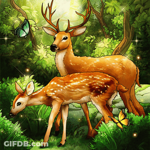 Animated Deer And Butterflies GIF