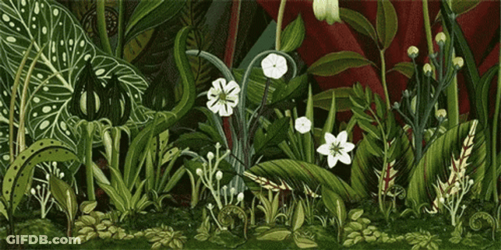 Animated Different Flower Blooming GIF
