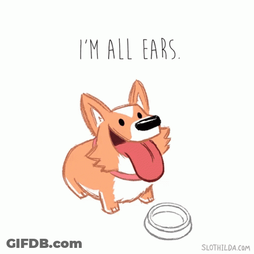 Animated Dog GIF