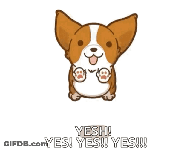 Animated Dog Bouncing Yes Yes GIF