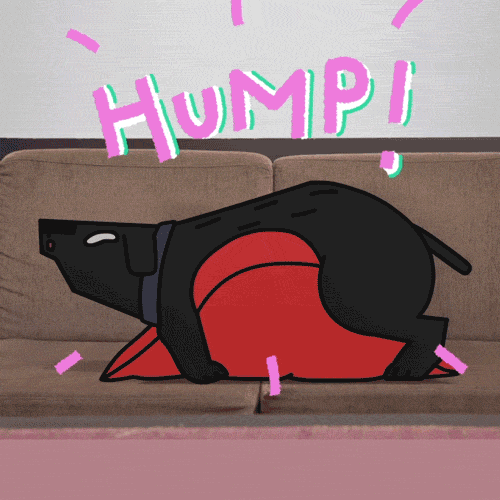 Animated Dog Dry Hump GIF