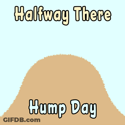 Animated Dog Half Way There Hump Day GIF