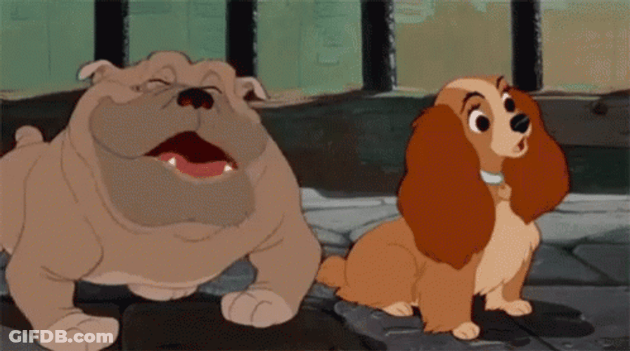 Animated Dog Lady And The Tramp GIF
