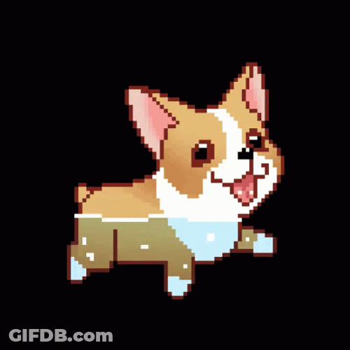 Animated Dog Running In The Water GIF
