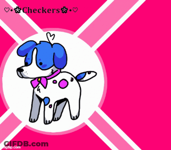 Animated Dog GIF