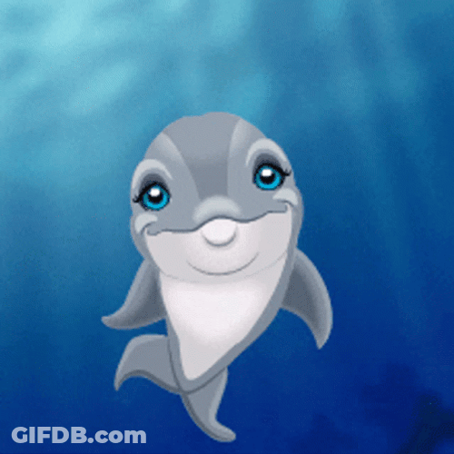 Animated Dolphin Happy Dance GIF