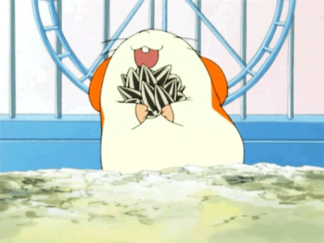 Animated Elated Hamtaro GIF