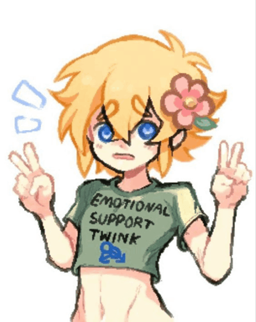 Animated Emotional Support For Twinks GIF