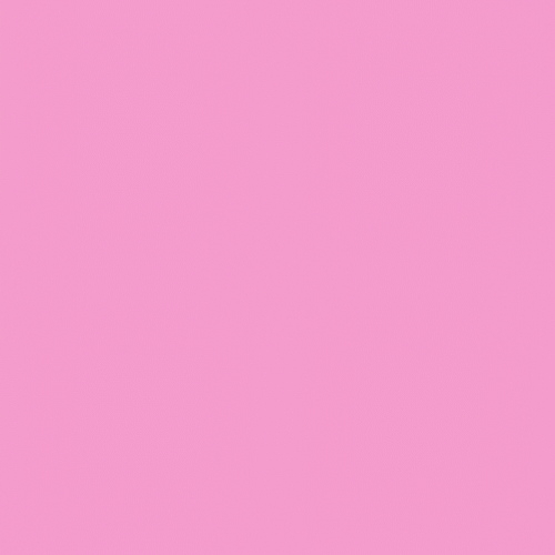 Animated Facts Word GIF