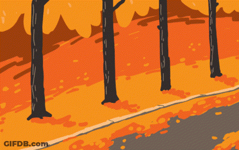 Animated Fall Leaf On Street GIF