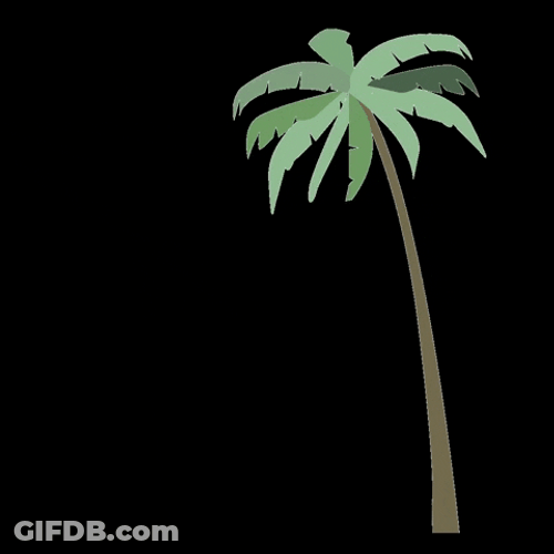 Animated Falling Palm Tree Leaves GIF