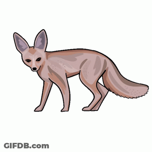 Animated Fennec Fox Digital Art GIF