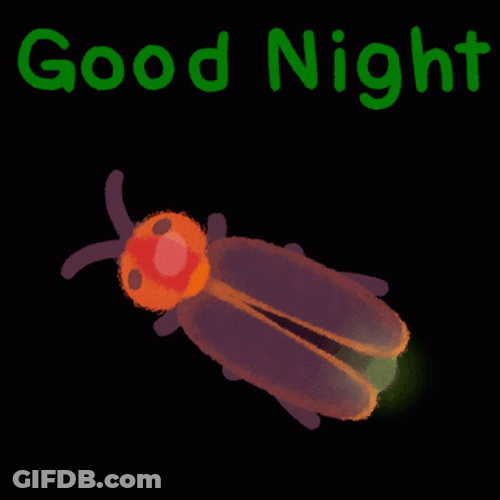 Animated Firefly Good Night Sleep GIF