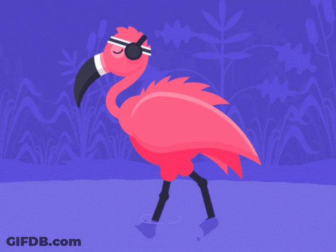 Animated Flamingo Vibing GIF
