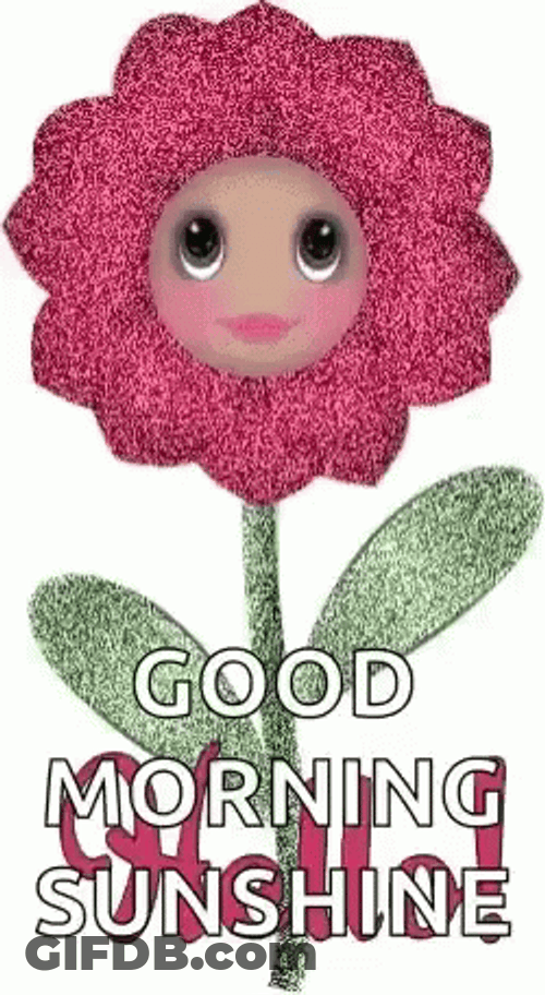 Animated Flower Hi Good Morning Sunshine GIF