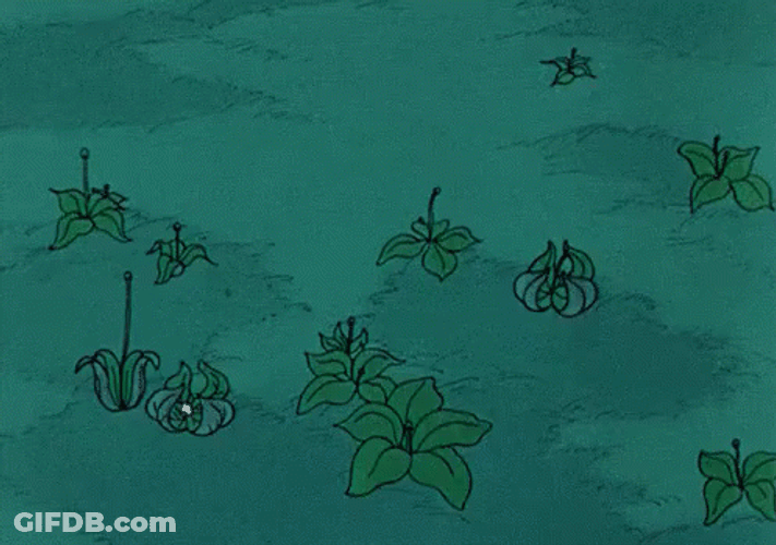 Animated Flowers Growth GIF