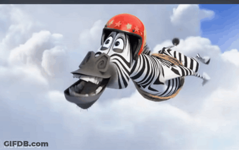 Animated Flying Zebra GIF