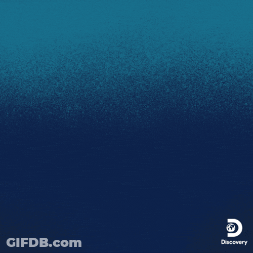 Animated Goblin Shark Saying Hey GIF