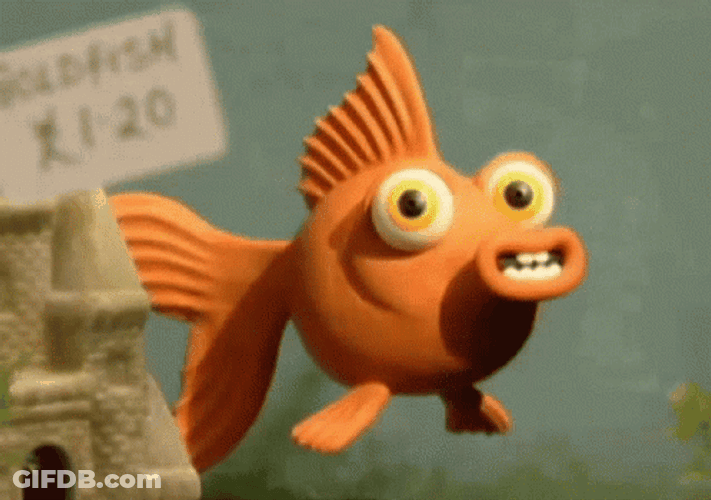 Animated Goldfish Winking GIF