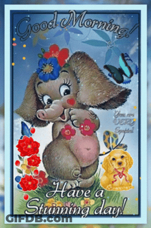 Animated Good Morning Have Stunning Day GIF