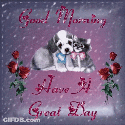 Animated Good Morning Puppy Cat GIF