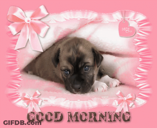 Animated Good Morning Puppy Greeting Card GIF