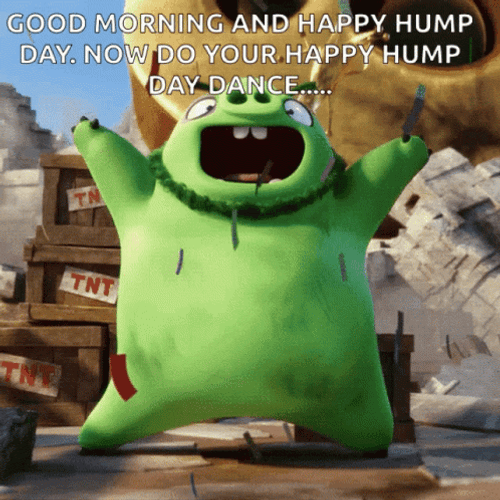 Animated Good Morning Wednesday Angry Birds Leonard GIF