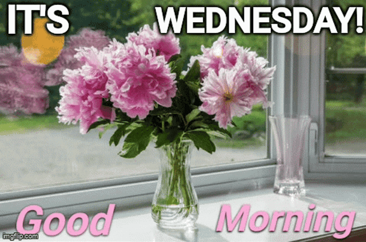 Animated Good Morning Wednesday Flowers In Vase GIF