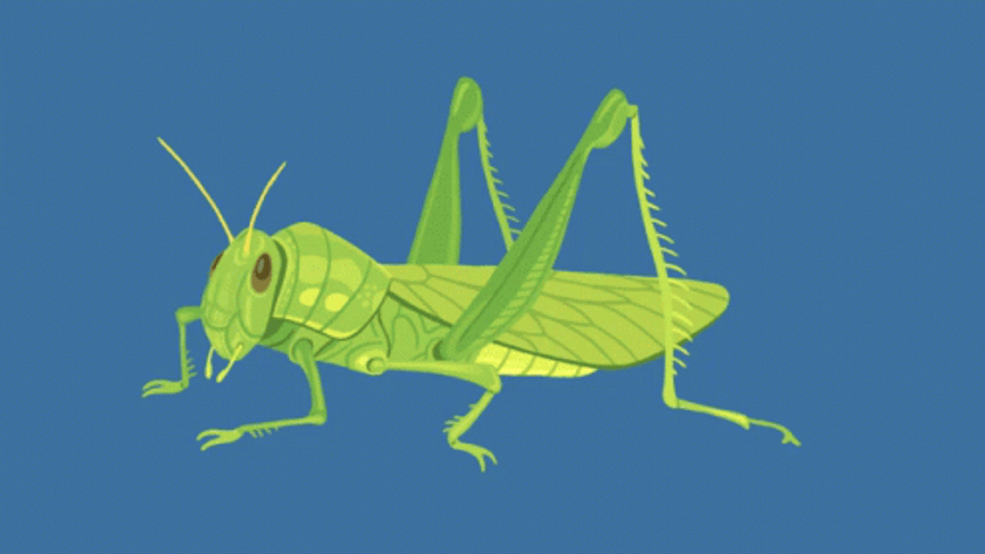 Animated Grasshopper Breathing GIF