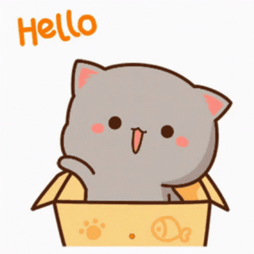 Animated Grey Cat Hello Hi Waving GIF