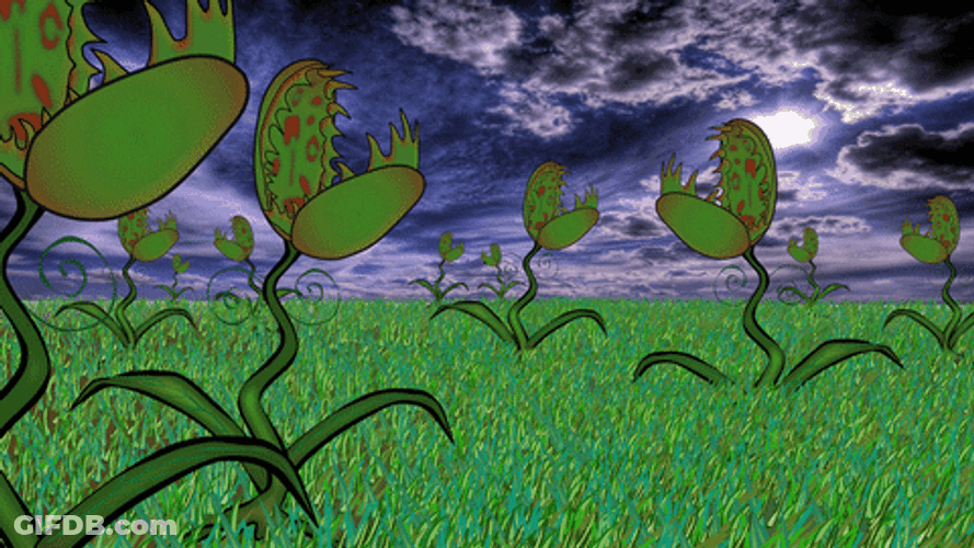 Animated Group Of Venus Fly Trap Chasing Bees GIF