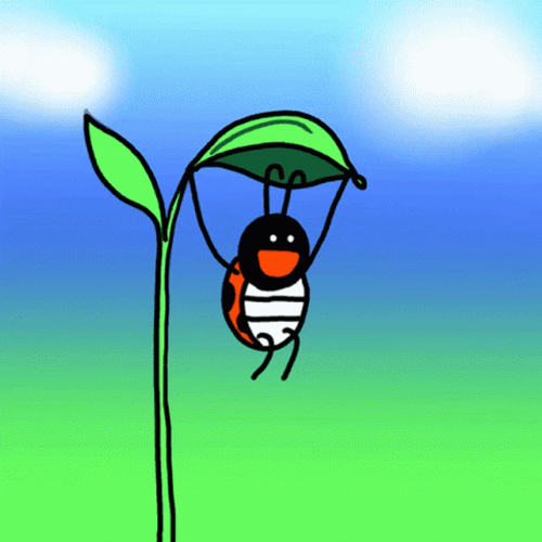 Animated Happy Lady Bug GIF