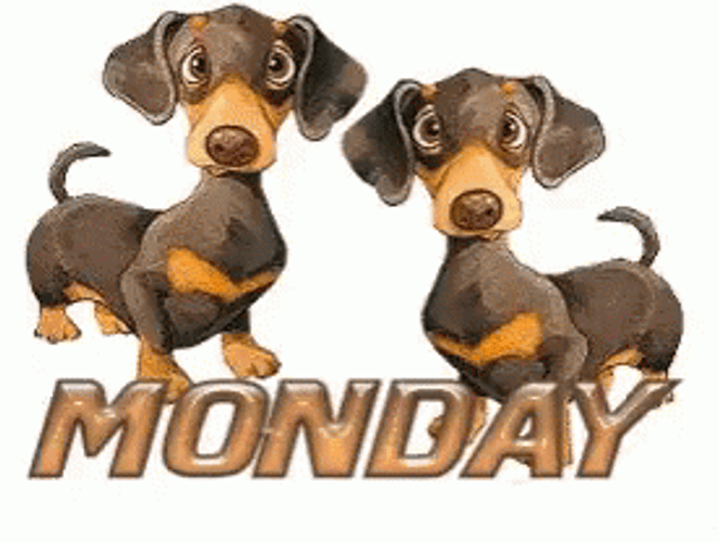 Animated Happy Monday Dachshund Wagging Tale GIF
