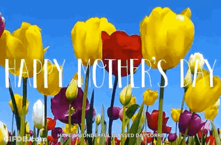 Animated Happy Mothers Day Lorre GIF