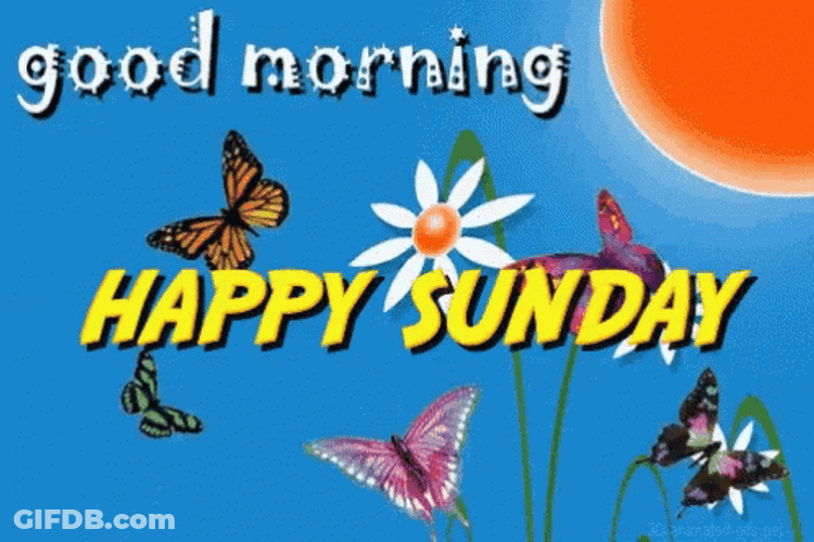Animated Happy Sunday Butterflies Flying Around Background GIF