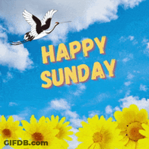 Animated Happy Sunday Sunflower Background GIF
