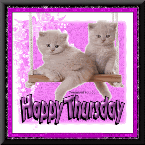 Animated Happy Thursday Snow White Cats Fluffy GIF