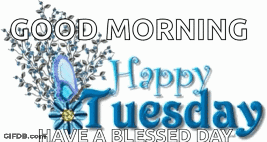 Animated Happy Tuesday Blessed Morning GIF