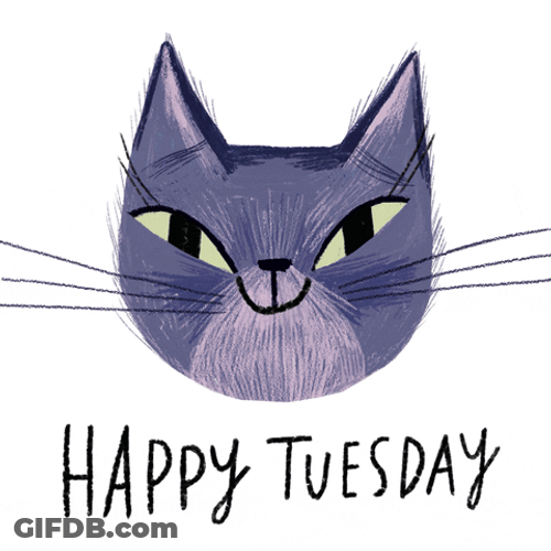 Animated Happy Tuesday Cat Hearts GIF