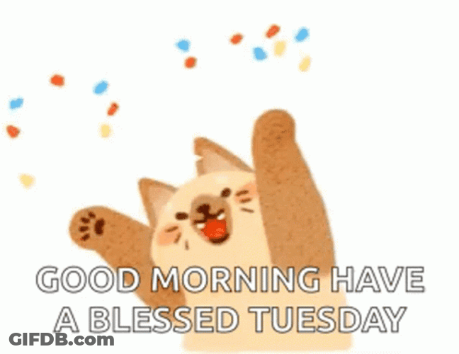 Animated Happy Tuesday Confetti Bear GIF