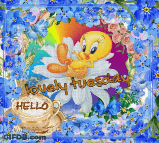 Animated Happy Tuesday Hello Tweety Bird GIF