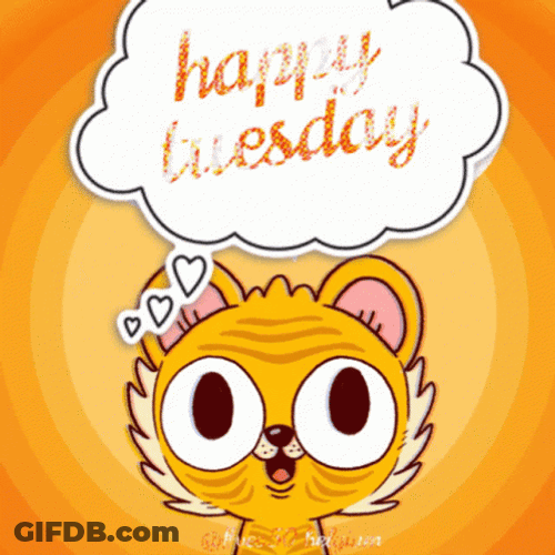 Animated Happy Tuesday Sticker Cat Thinking GIF