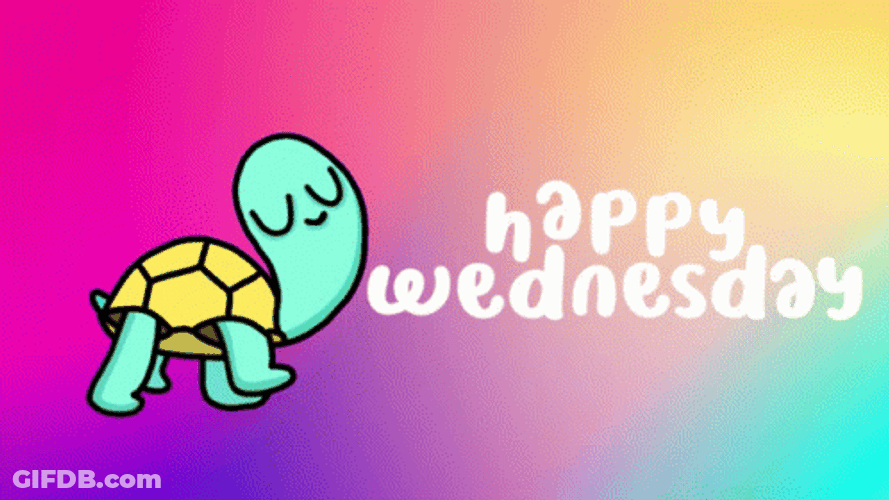 Animated Happy Wednesday Frog GIF