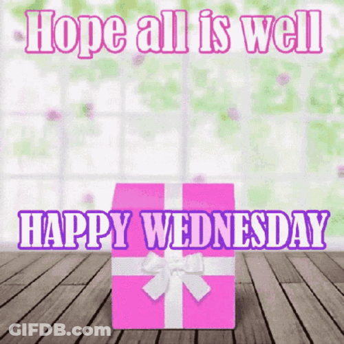 Animated Happy Wednesday Teddy Bear GIF