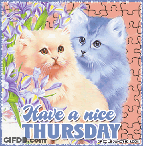 Animated Have A Nice Thursday Cat Flowers Puzzles Fluffy GIF