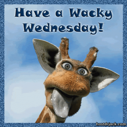 Animated Have A Wacky Hilarious Wednesday GIF