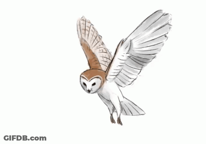 Animated Hedwig Flying GIF