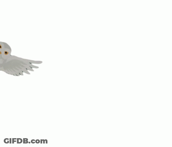 Animated Hedwig Landing GIF