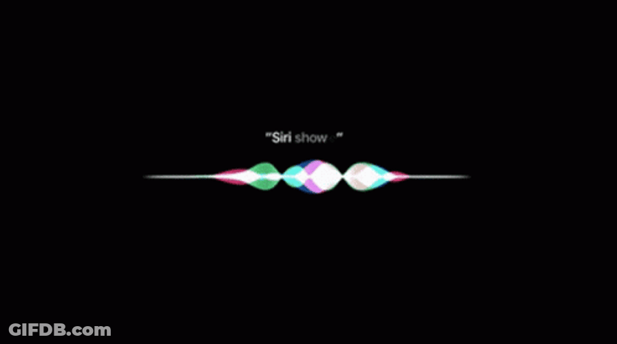 Animated Hey Siri Show Me Something New GIF