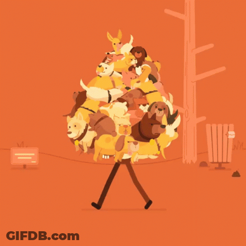 Animated Hoarders Cat GIF